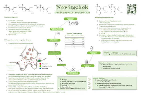 Einfach erklärt: Lernplakat: Nervengift Nowitschok (Biologie) - Knowunity